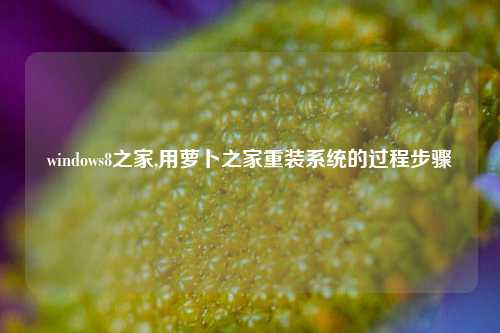 windows8之家,用萝卜之家重装系统的过程步骤