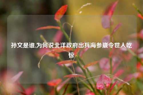 孙文是谁,为何说北洋政府出兵海参崴令世人吃惊