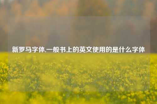 新罗马字体,一般书上的英文使用的是什么字体