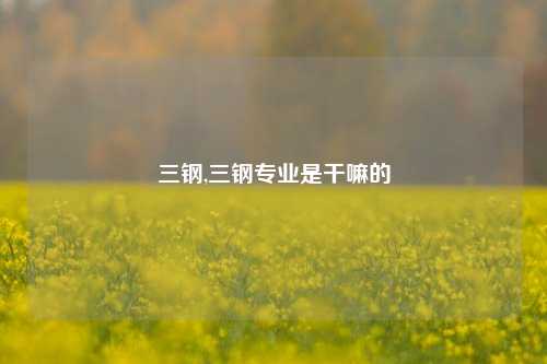 三钢,三钢专业是干嘛的