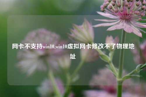 网卡不支持win10,win10虚拟网卡修改不了物理地址