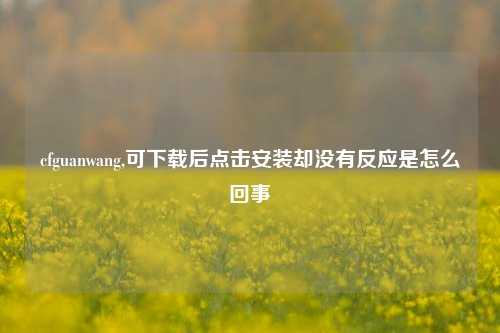 cfguanwang,可下载后点击安装却没有反应是怎么回事