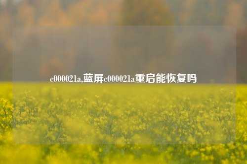 c000021a,蓝屏c000021a重启能恢复吗
