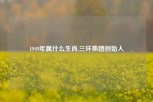 1949年属什么生肖,三环集团创始人