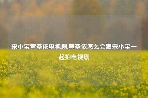 宋小宝黄圣依电视剧,黄圣依怎么会跟宋小宝一起拍电视剧