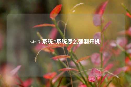 win 7 系统,7系统怎么强制开机