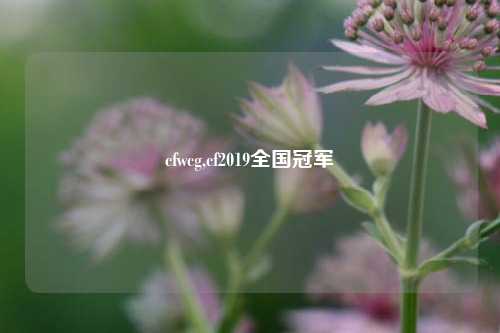 cfwcg,cf2019全国冠军