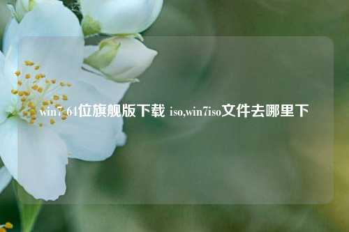 win7 64位旗舰版下载 iso,win7iso文件去哪里下