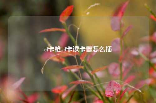 cf卡枪,cf卡读卡器怎么插