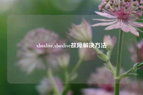 xboxlive,xboxlive故障解决方法