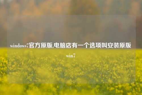windows7官方原版,电脑店有一个选项叫安装原版win7
