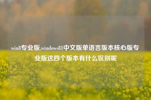 win8专业版,windows81中文版单语言版本核心版专业版这四个版本有什么区别呢