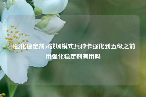 cf强化稳定剂,cf战场模式兵种卡强化到五级之前用强化稳定剂有用吗