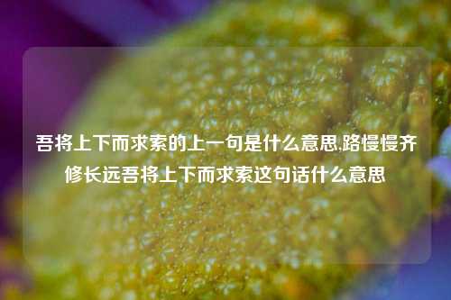 吾将上下而求索的上一句是什么意思,路慢慢齐修长远吾将上下而求索这句话什么意思
