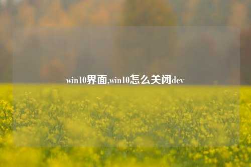 win10界面,win10怎么关闭dev