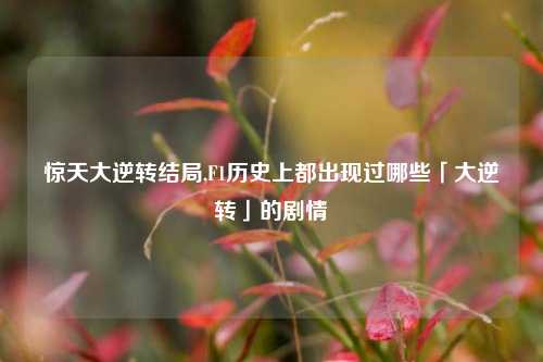 惊天大逆转结局,F1历史上都出现过哪些「大逆转」的剧情