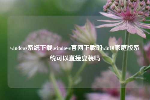 windows系统下载,windows官网下载的win10家庭版系统可以直接安装吗