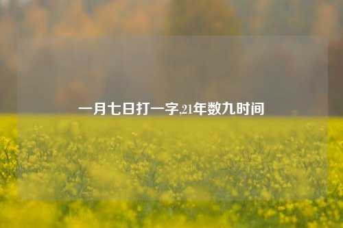 一月七日打一字,21年数九时间