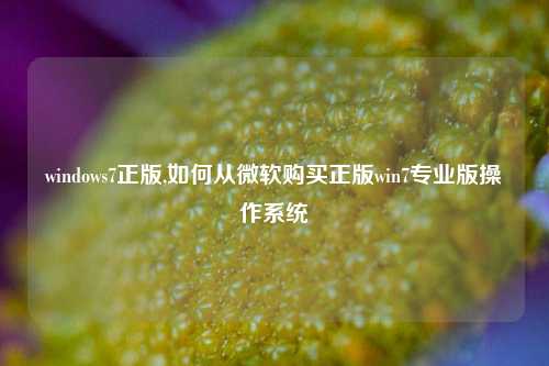 windows7正版,如何从微软购买正版win7专业版操作系统