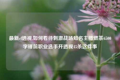 最新cf透视,如何看待刺激战场知名主播燃茶6500字锤前职业选手开透视45杀这件事