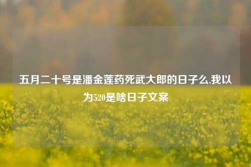 五月二十号是潘金莲药死武大郎的日子么,我以为520是啥日子文案