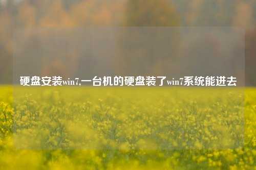 硬盘安装win7,一台机的硬盘装了win7系统能进去