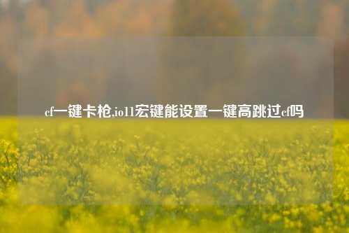 cf一键卡枪,io11宏键能设置一键高跳过cf吗