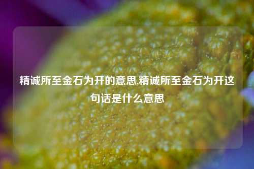 精诚所至金石为开的意思,精诚所至金石为开这句话是什么意思