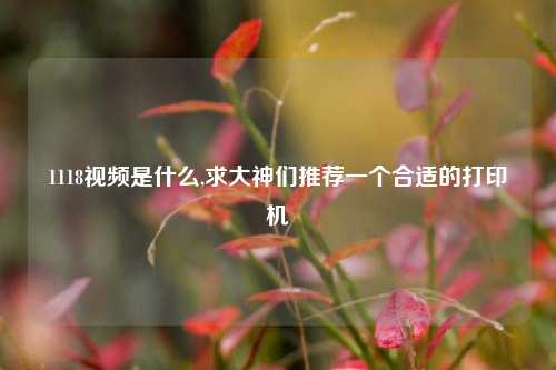 1118视频是什么,求大神们推荐一个合适的打印机