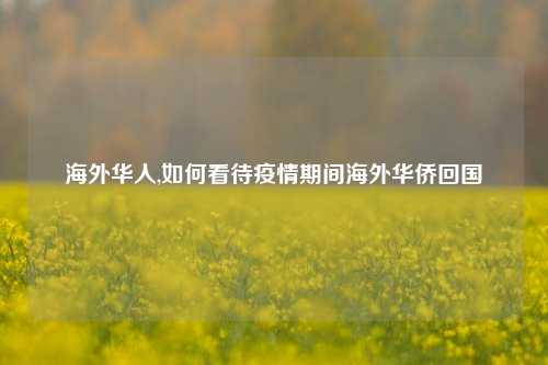 海外华人,如何看待疫情期间海外华侨回国