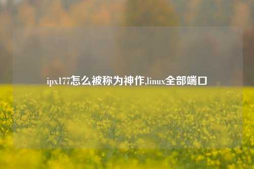 ipx177怎么被称为神作,linux全部端口