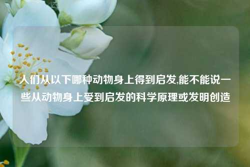 人们从以下哪种动物身上得到启发,能不能说一些从动物身上受到启发的科学原理或发明创造