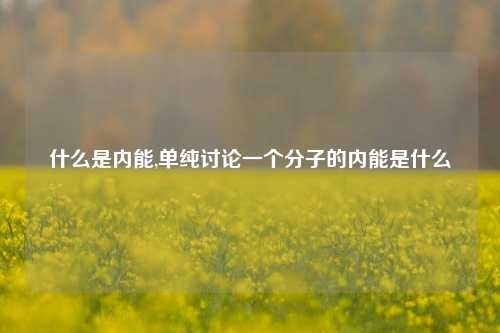 什么是内能,单纯讨论一个分子的内能是什么