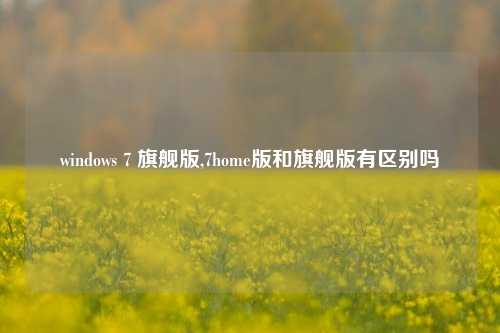 windows 7 旗舰版,7home版和旗舰版有区别吗