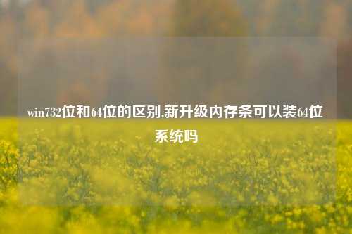 win732位和64位的区别,新升级内存条可以装64位系统吗
