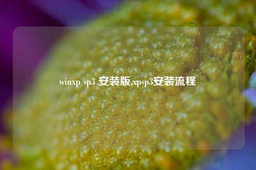 winxp sp3 安装版,xpsp3安装流程