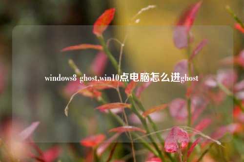 windows8 ghost,win10点电脑怎么进ghost