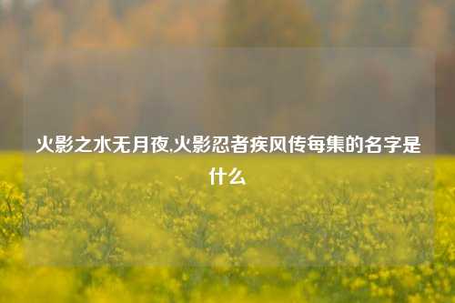 火影之水无月夜,火影忍者疾风传每集的名字是什么