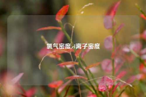 氯气密度,cl离子密度