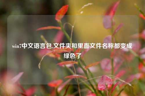 win7中文语言包,文件夹和里面文件名称都变成绿色了