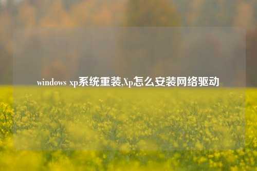 windows xp系统重装,Xp怎么安装网络驱动