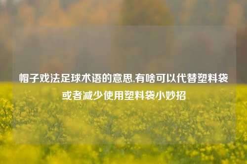 帽子戏法足球术语的意思,有啥可以代替塑料袋或者减少使用塑料袋小妙招