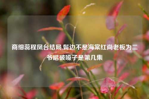 商细蕊程凤台结局,鬓边不是海棠红尚老板为二爷唱破嗓子是第几集