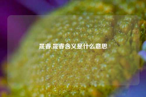 晟睿,晟睿含义是什么意思