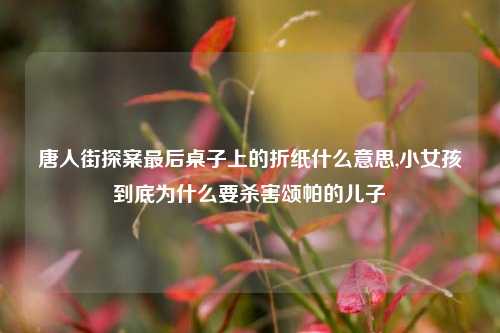 唐人街探案最后桌子上的折纸什么意思,小女孩到底为什么要杀害颂帕的儿子