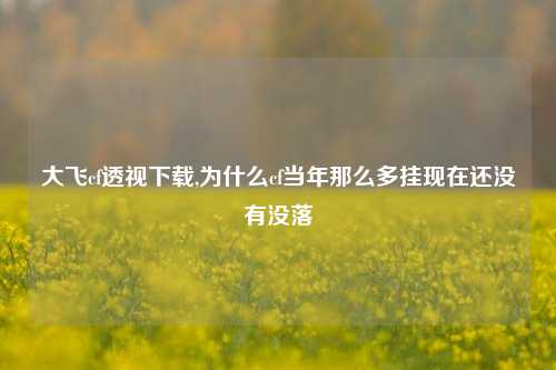 大飞cf透视下载,为什么cf当年那么多挂现在还没有没落