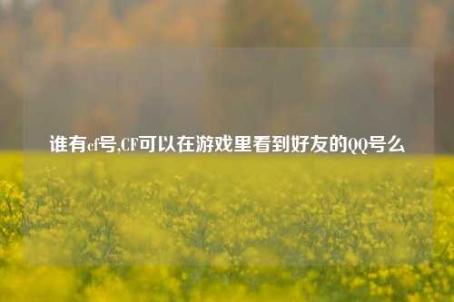 谁有cf号,CF可以在游戏里看到好友的QQ号么