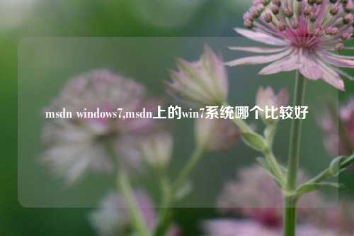 msdn windows7,msdn上的win7系统哪个比较好