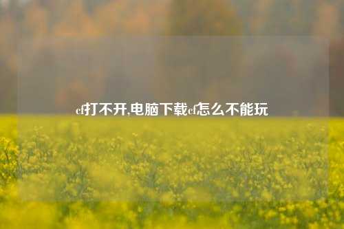 cf打不开,电脑下载cf怎么不能玩