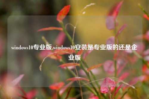 windows10专业版,windows10安装是专业版的还是企业版